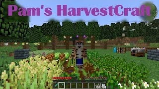 Pams HarvestCraft Mod Showcase MineCraft 1122 [upl. by Milstone]