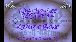 Krayzie Bone  What You See  2024 Remix [upl. by Temple]