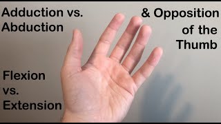 Abduction vs Adduction Flexion vs Extension and Opposition of the Thumb [upl. by Ennybor148]