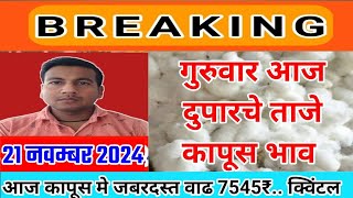 आजचे Live कापूस भाव 21 नवम्बर 2024  kapus bhav today कापूसबाजारभावआजचे kapus rate aaj ka [upl. by Annaierb514]