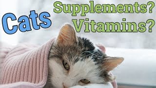 Cats Vitamins and Supplements 2019 hindiurdu [upl. by Hwang240]