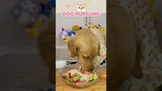 Dog Food Every Day 🐶 Ep49 cutedog mukbang asmr foodshorts relaxing [upl. by Collis]