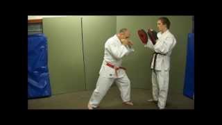 Judo for Self Defence Atemi Waza Part 1 amp PreEmptive Strikes Ray Sheerin [upl. by Idnar975]