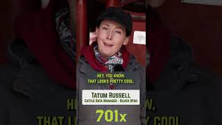 Tatum from Silver Spur Ranch Testimonial cattlerancher agtech [upl. by Ortensia]