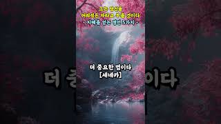 그는 당신을 어리석은 자라고 부를 것이다  지혜를 얻는 명언 5가지 [upl. by Charil]