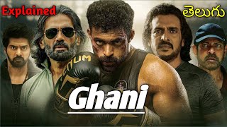 Ghani Full Movie Explained in Telugu  Varun Tej  Sunil shetty  Upendra  Drama Club [upl. by Smoht197]