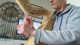 Greensleeves on harp and theremin [upl. by Borden]