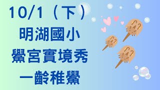 【15】 鱟宮寶寶相見歡！ 10月1日（下集） 2024 明湖國小 鱟宮實境秀 一齡稚鱟 [upl. by Mosra]