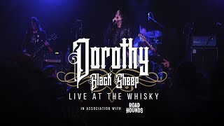 Dorothy  Black Sheep Live At The Whisky A Go Go [upl. by Smart]