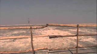 White Salt Desert and Dordo in Little Rann of Kutch India [upl. by Aihsinat]