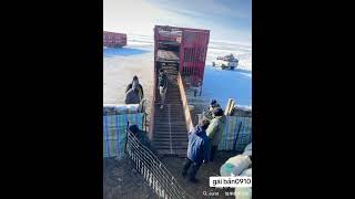 Selling sheep at the farm gaiban0910 [upl. by Gluck]