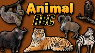 Zoo Animals for kids  Alphabet Animal AZ  az animal alphabets  Alphabetical ABC  Alphabet zoo [upl. by Alet]