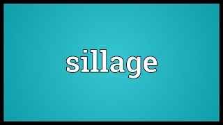 Sillage Meaning [upl. by Hamel]