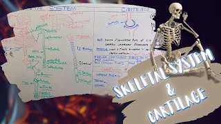 Introduction to Skeletal System amp Cartilage شرح بالعربى [upl. by Colvert]