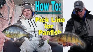 Line Selection for Ice Fishing Panfish [upl. by Aled]