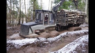 Logset 6F logging in wet winter forest [upl. by Butterworth]