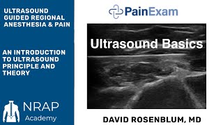 Ultrasound Basics An Intro to Ultrasound for Regional Anesthesia Joint Injections and Nerve Blocks [upl. by Esdnil]