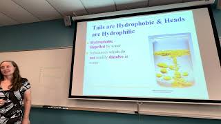 Introduction to the Plasma Membrane [upl. by Chastain]