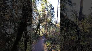 Arch near broken top marriage tree Potential Sabe division marker between groups Wshared trails [upl. by Karen]