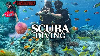 AREEB KO PANIC ATTACK AGYA 😰  Scuba Diving In Maldives ♥️ [upl. by Enitselec303]