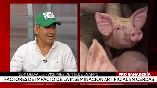 Factores de impacto de la inseminación artificial en cerdas [upl. by Liris771]