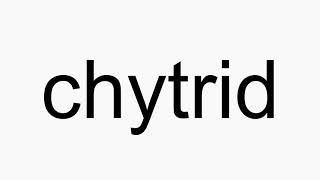 How to pronounce chytrid [upl. by Laise27]