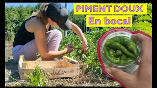 PIMENTS DOUX conservation BOCAUX [upl. by Annaeiluj443]