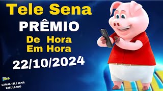 MIL REAIS de Hora em Hora Tele Sena Aniversário 22102024 [upl. by Ariew]