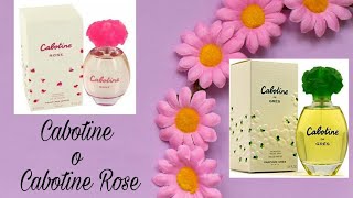 Cabotine o Cabotine Rose [upl. by Irrabaj]