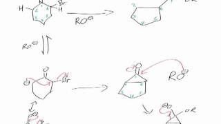 Favorskii Rearrangement Reaction mechanism chemistry tutorial [upl. by Shaughnessy552]