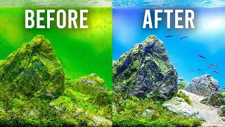 HOW TO Choose the Best Filter to Keep Your Aquarium Clean [upl. by Tebzil]