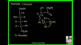 2 MutarotationAnomerFructoseFructosideEpimer [upl. by Mahda511]
