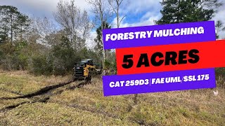 Clearing 5 acres in Florida with Forestry Mulcher for new home build  Tree Shop [upl. by Yrrehc]