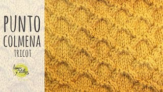 Tutorial Punto Colmena Tricot  Dos Agujas [upl. by Enitnatsnoc314]