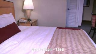 Royal St Charles New Orleans  Deluxe Room One Bed Preview [upl. by Nylodam680]