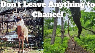 Building a High Odds Rut Stand w Deer Habitat Improvements [upl. by Gilberte]