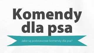 Podstawowe komendy dla psa  przydatne komendy których uczę moje psy [upl. by Elmer723]