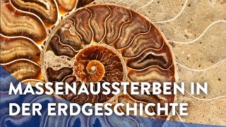 Werner E Piller Massenaussterben in der Erdgeschichte [upl. by Suoicul]