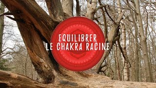 EQUILIBRER LE CHAKRA RACINE [upl. by Enomahs143]