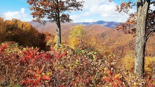 Tapoco amp Cherohala Oct 28 2024 [upl. by Conlen216]