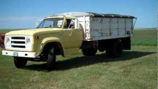 Cherpin 1968 Dodge Grain Truck Mack Auction Company April 15 2013 Radville Sk [upl. by Namaj]