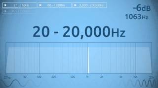 20  20000 Hz Audio Sweep  Range of Human Hearing [upl. by Shirlee108]