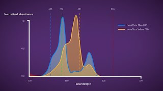 NovaFluor Dyes for Flow Cytometry [upl. by Yeslrahc656]