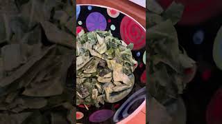 Collard Greens food [upl. by Cadel]