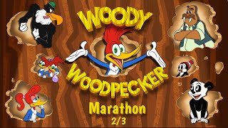 Woody Woodpecker Marathon Part 23  Woody Woodpecker [upl. by Fidelis]