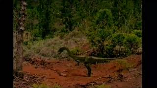 Nel mondo dei Dinosauri  ITALIANO  Parte 7  Sangue Nuovo Cynodontia vs Coelophysis [upl. by Lange598]