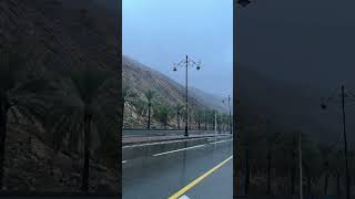 Beauty of muscat after 🌧 rain shorts amaran trendingsong dates tree muscat india coimbatore [upl. by Aleydis]