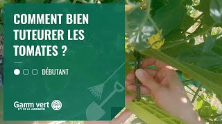 TUTO Comment bien tuteurer les tomates  Jardinerie Gamm vert [upl. by Reltuc662]