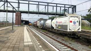 DB Cargo Vectron amp PKP Cargo Vectron  Utrecht CS Roosendaal Rotterdam CS  4K [upl. by Levitan]