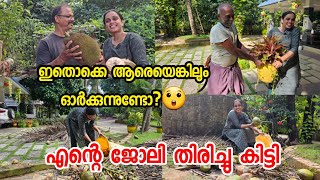 എന്റെ ജോലി തിരിച്ചു കിട്ടി💃🥰  A day in my life  Malayalam Vlog  Breakfast  Lunch Recipes [upl. by Esma]